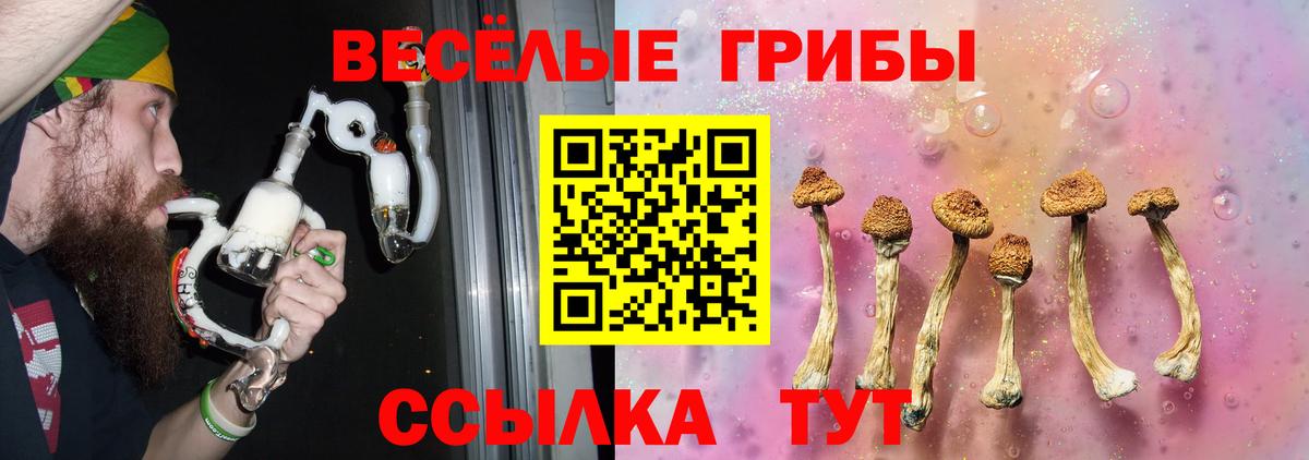 Белебей  Галлюциногенные грибы MAGIC MUSHROOMS  Галлюциногенные грибы Psilocybine cubensis  Вход с VPN 